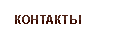 Контакты